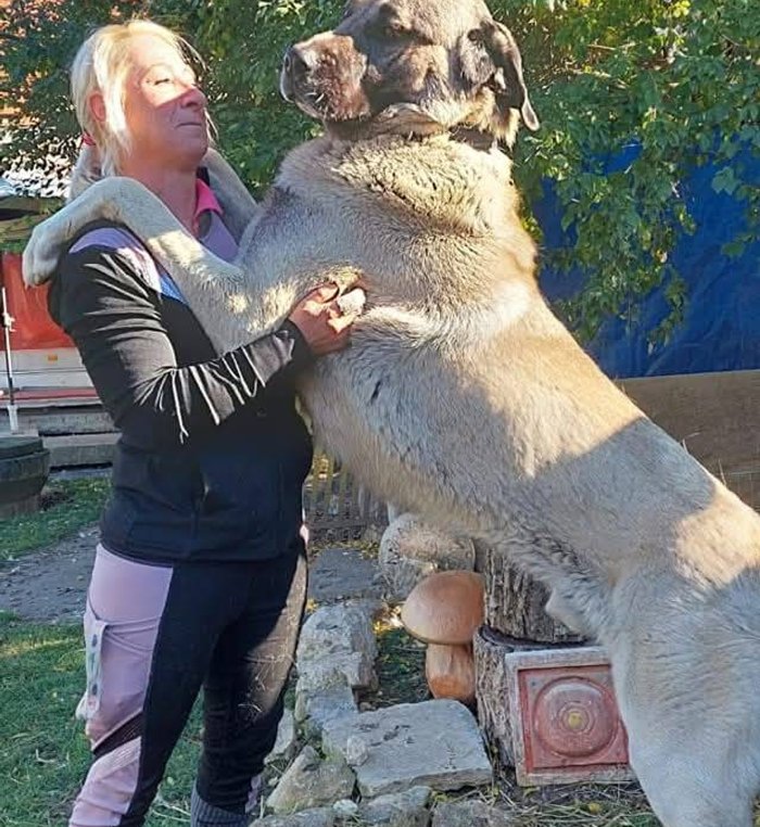Srdečné tlapky z.s. - Romana Čechová