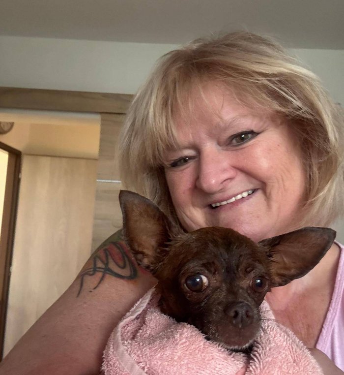 Srdečné tlapky z.s. - Inka Balg