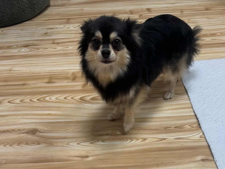 Maila - bude upřesněno